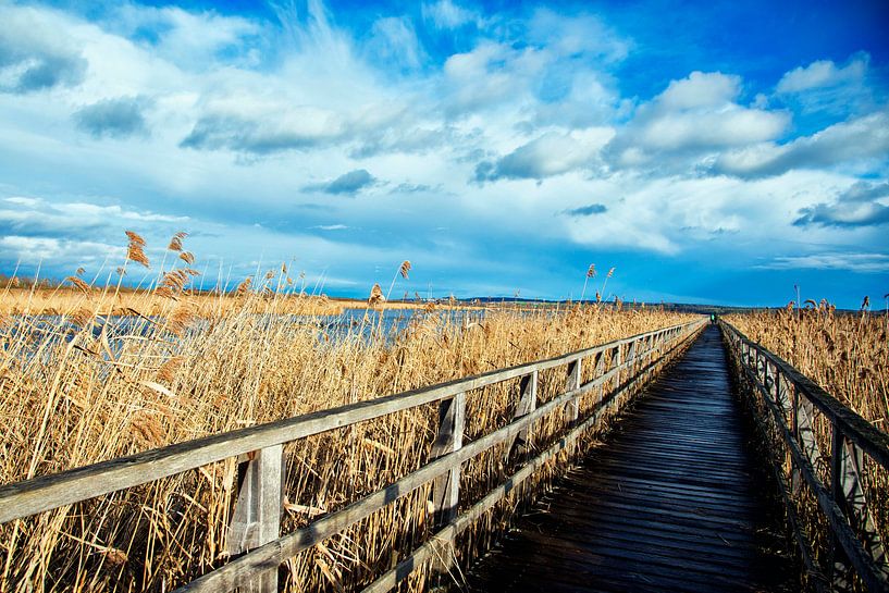 Footbridge to the Federsee by Sandra Knittel