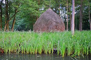 Stroh-Haufen im Spreewald 8.0