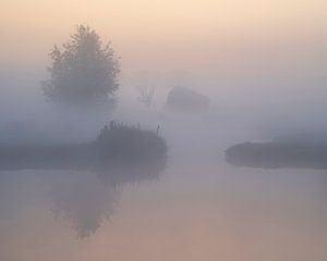 Lever de soleil brumeux à Alblasserwaard