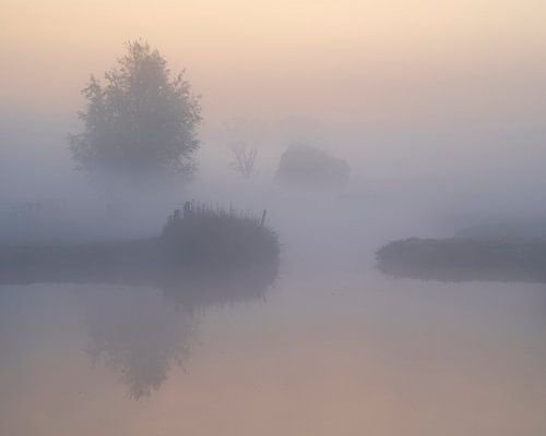 Mistige zonsopkomst in Alblasserwaard
