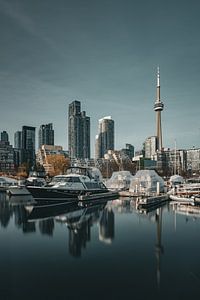 Toronto haven.