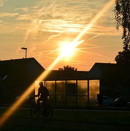 The Golden Journey, Almere by Melissa Longstreet-Homma Art