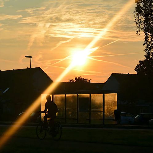 The Golden Journey, Almere