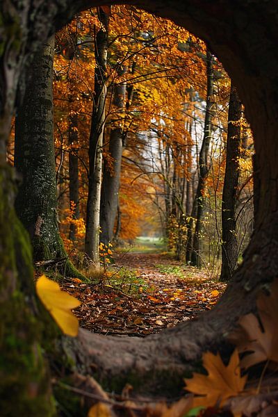 doorkijk van Imperial Art House