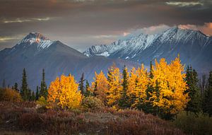 Autumn landscape sur Chris Stenger