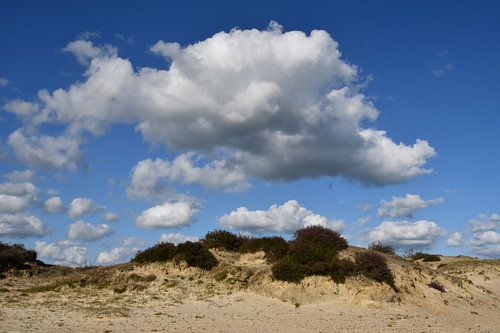 Zandverstuiving met heide
