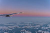 Purple Dawn