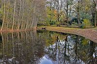 Reflection