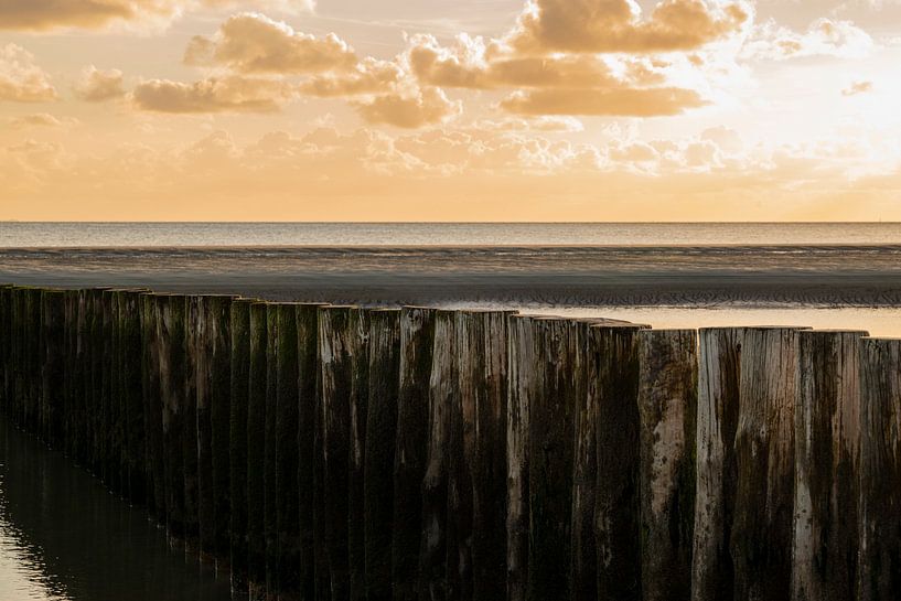 Beach posts by Annelies Cranendonk