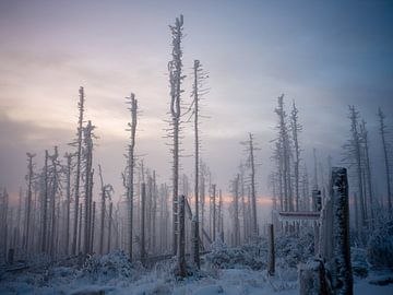 Bij zonsopgang bij de Brocken van t.ART