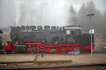 Le train du Brocken à la gare de Schierke sur t.ART