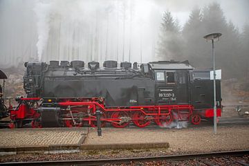 De Brockenbahn bij het station van Schierke van t.ART