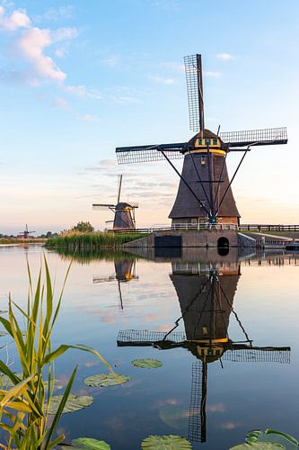 De windmolens in Kinderdijk.