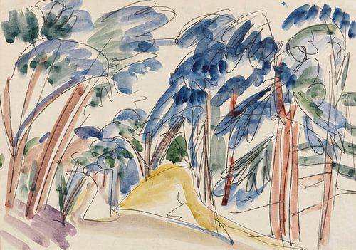 Zandduinen onder de bomen