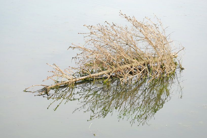 Kerstboom par Peter Bosch
