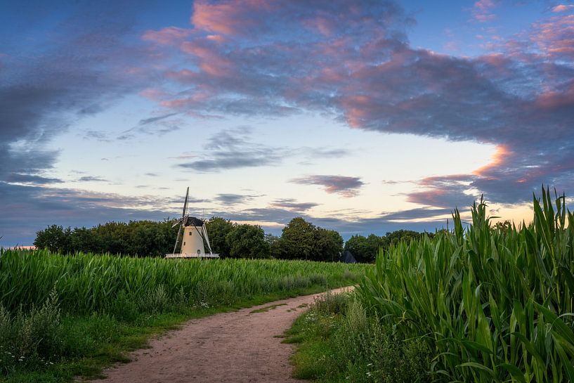 Evening Walk van Bart Hendrix