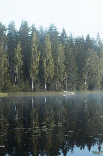 A typical Swedish lake