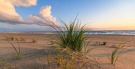 Série Plages hollandaises 2026 - 3 sur Alex Hiemstra