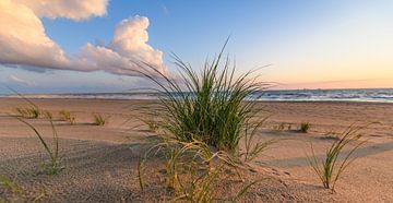 Série Plages hollandaises 2026 - 3 sur Alex Hiemstra