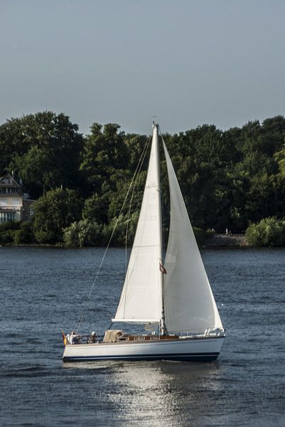 The sailing yacht by Norbert Sülzner