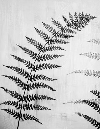 Painting black and white fern leaf by Bianca ter Riet