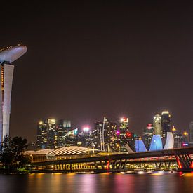 Singapore Dragonfly Bridge van Lorenzo Nijholt