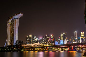 Singapore Dragonfly Bridge by Lorenzo Nijholt