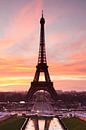 Eiffelturm bei Sonnenaufgang, Paris, von Markus Lange Miniaturansicht