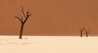 The dead trees of the Deadvlei - Namibia by Bas Ronteltap thumbnail