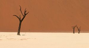 The dead trees of the Deadvlei - Namibia von Bas Ronteltap