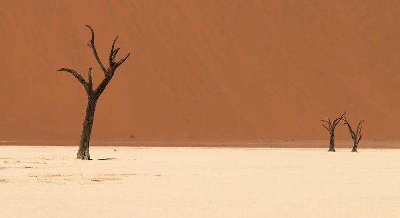 The dead trees of the Deadvlei - Namibia by Bas Ronteltap