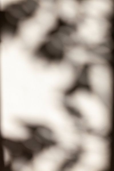 Shadows by Nina van der Kleij