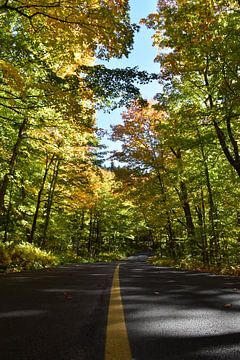 A country road in autumn by Claude Laprise