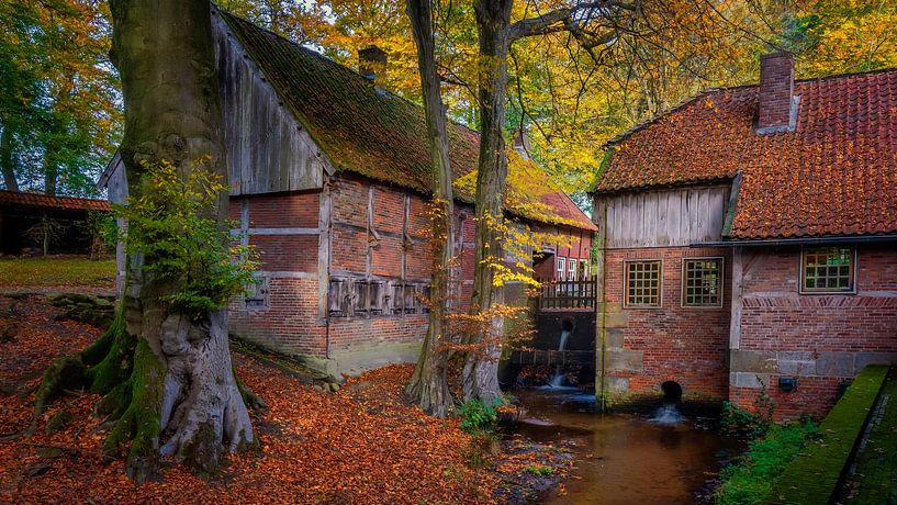 Atmosphère automnale à Twente par Bram de Jong