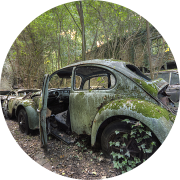 Urbex - Lost car van Angelique Brunas