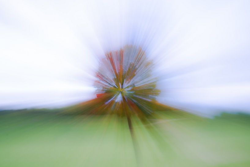 Fall Colors by Monika Scheurer