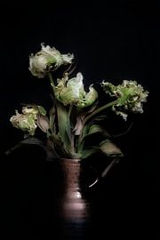 4 tulipes rembrandt en vase sur Karel Ham