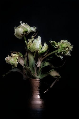 4 rembrandt tulips in vase