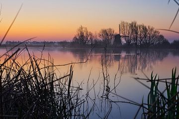 Kleurrijke lucht net vóór zonsopkomst van Bart Nikkels