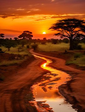 Sonnenuntergang in Afrika V3 von drdigitaldesign