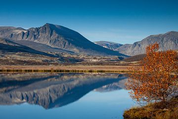 Dørålen Herbst von Sven-Erik Arndt