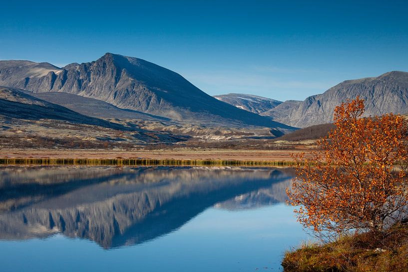 Dørålen Automne par Sven-Erik Arndt