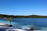 Lake McKenzi van Nadia Langenberg thumbnail