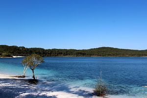 Lake McKenzi