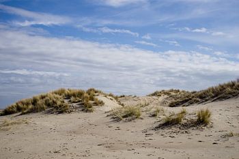 Duinen in Nederland op een heldere en zonnige dag
