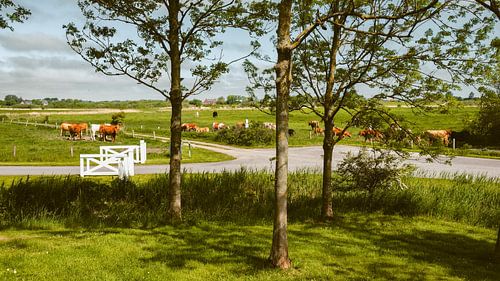 Noord-Duits landschap bij Seebüll