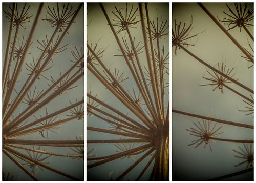 triptyque lauwersmeer 8