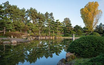 Japanischer Garten, Düsseldorf, Deutschland von Alexander Ludwig