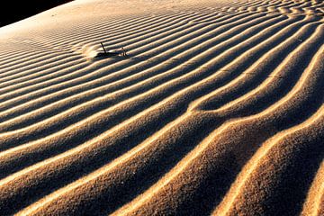 Lijnenspel in het zand von Heleen van de Ven