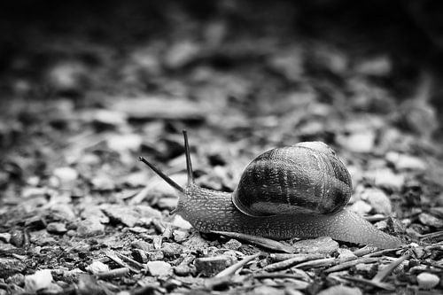 Slow down